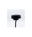 LTE antenna, screw mount low profile 2cm with 3m cable, SMA, IP67 IX2203