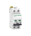 Interruptor automático magnetotérmico iC60N 2P 4A curva-D