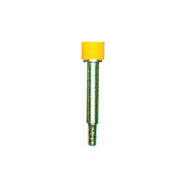 Tornillo BS25C-IH-AM